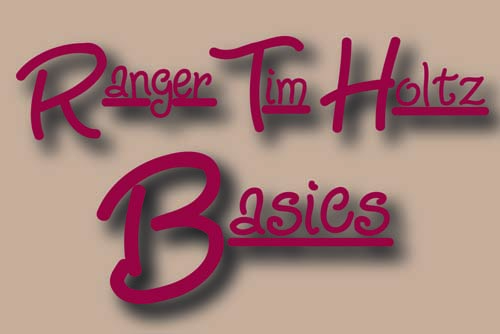 Ranger / Tim Holtz Basics